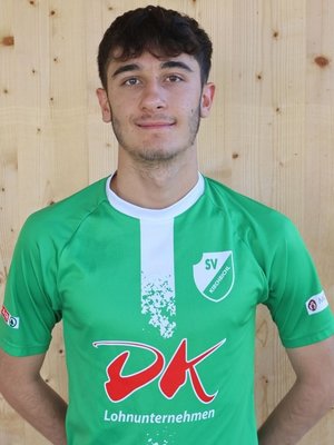 Nikola Ljiljak