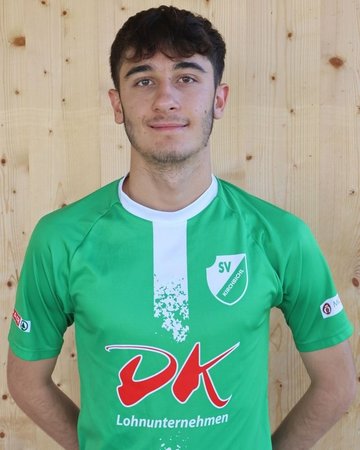Nikola Ljiljak
